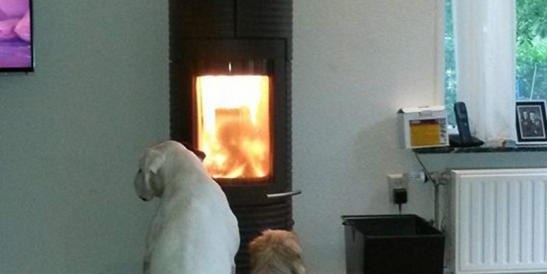 woonkamer modern stevig & rustiek front vrijstaand rond hout bruin 