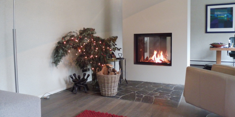 hip & happening woonkamer modern doorkijk vierkant inbouw zwart gas 